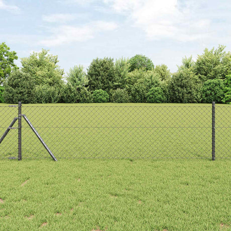 Vidaxl kettenschakelhek grijs 10 x 0,8 m staal