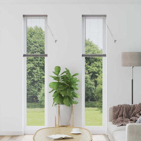 Vidaxl venetiaanse jaloezieën zilver 220 x 45 cm aluminium
