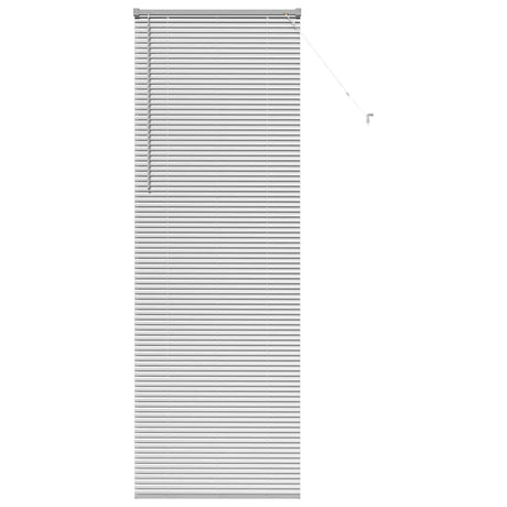 Vidaxl venetiaanse jaloezieën zilver 220 x 70 cm aluminium