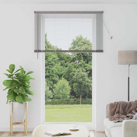 Vidaxl venetiaanse jaloezieën zilver 220 x 125 cm aluminium
