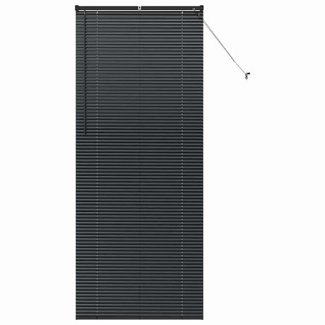 Vidaxl venetiaanse jaloezieën zwart 220 x 95 cm aluminium