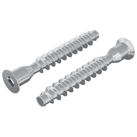 Vidaxl bevestigingsschroeven 2 pcs zilver ø7 x 50 mm metaal