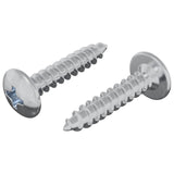 Vidaxl zelftappende nagel 2 pcs verzinkt 4 x 20 mm staal