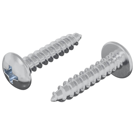 Vidaxl houten schroeven 2 pcs zilver m4 x 20 mm staal