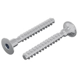 Vidaxl bout 2 pcs verzinkt 5 x 40 mm ijzer