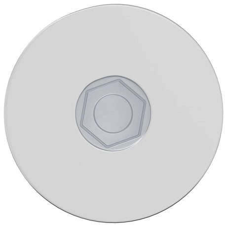 Vidaxl bout 2 pcs verzinkt 5 x 40 mm ijzer