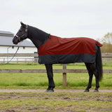 Vidaxl paardendeken donkergroen en zwart 165 cm polyester