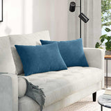 Vidaxl sofa kussens 2 stuks blauw 60 x 40 cm cordstof