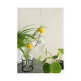 Ideas 4 seasons vaas breeze hangend ø6xh31cm helder