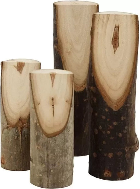 Creativ company decoratieve boomstam divers, 4st.