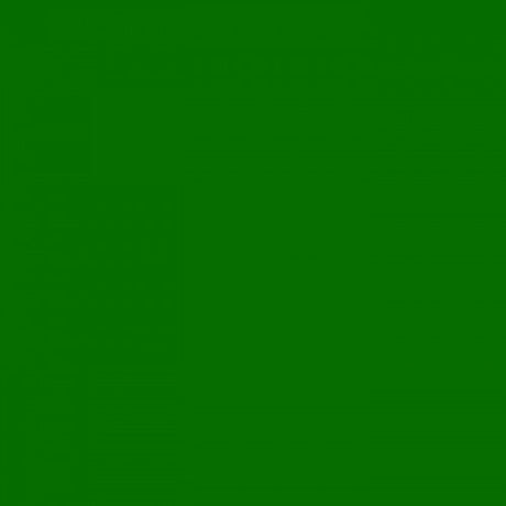 Fotokarton 25vel 70x50cm grasgroen