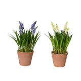 Decoris kunstplant druifjes in pot ø11xh26cm
