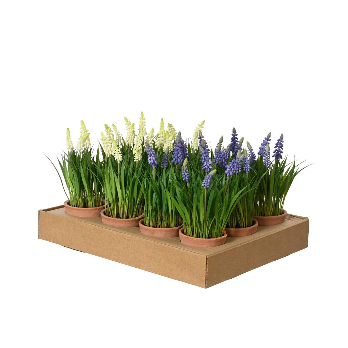Decoris kunstplant druifjes in pot ø11xh26cm