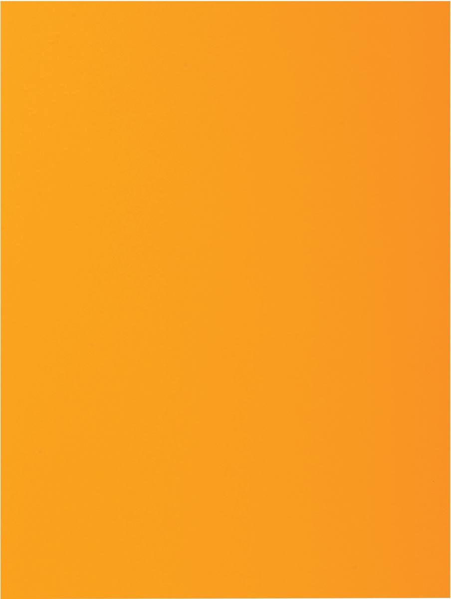 Exacompta rock''s 80 - pak van 100 inlegmappen 22x31cm voor a4 - oker - 800026e