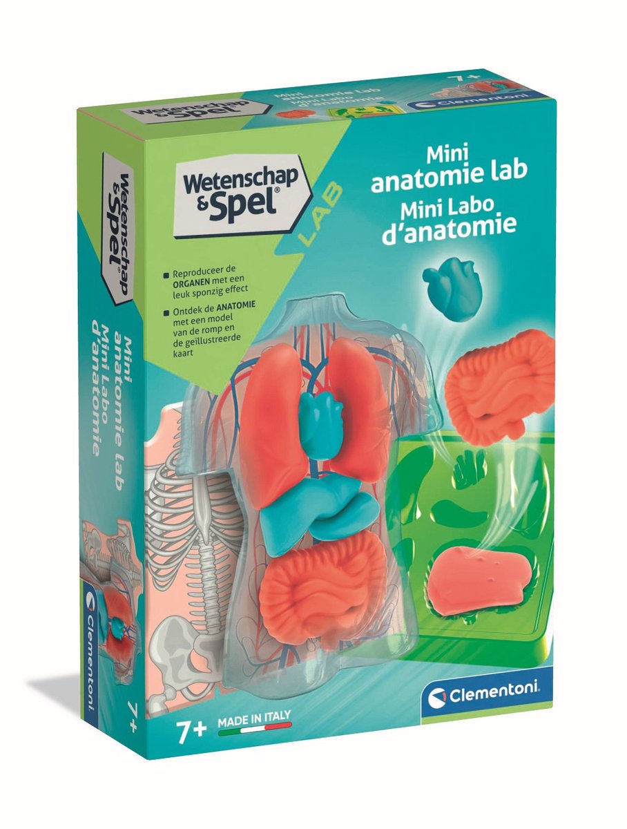 Clementoni wetenschap spel - squishy anatomie