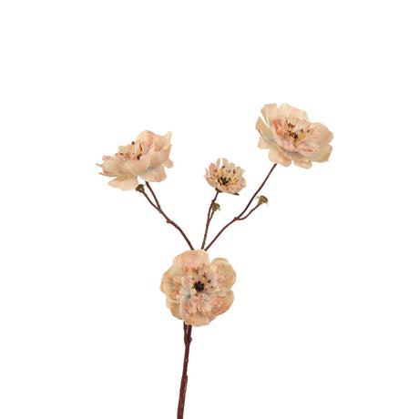 Roberts collection anemoon 62cm champagne
