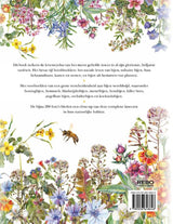 Rebo publishers bijen, helden van de tuin. volwassene
