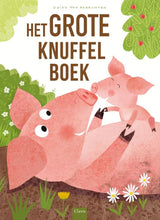 Prentenboek: het grote knuffelboek 2+