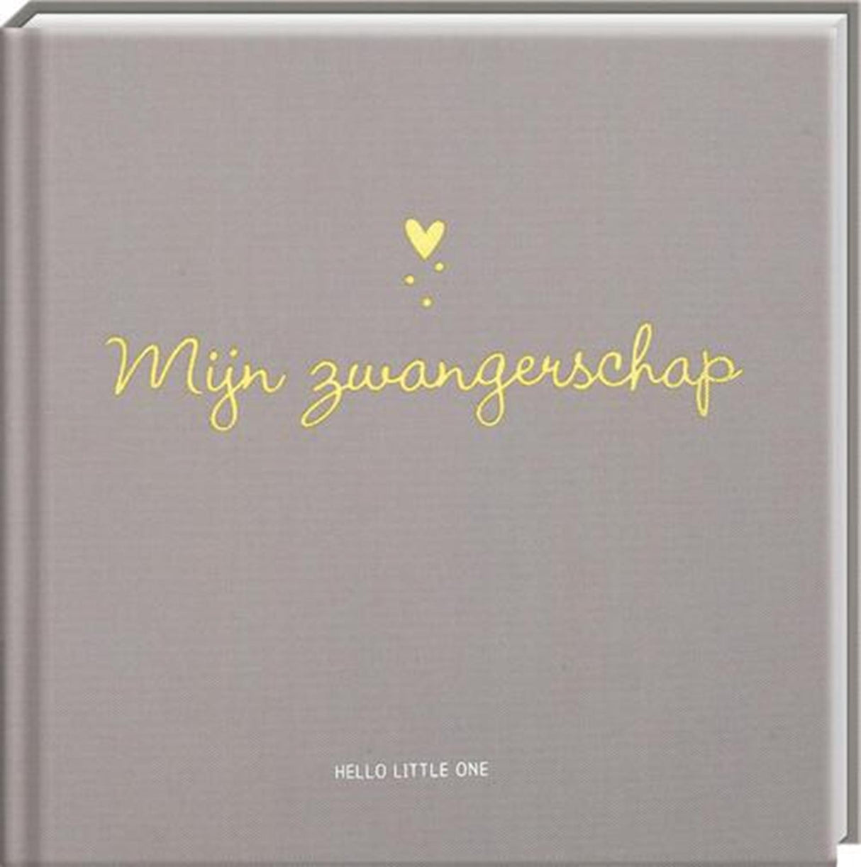 Imagebooks hello little one invulboek zwangerschap