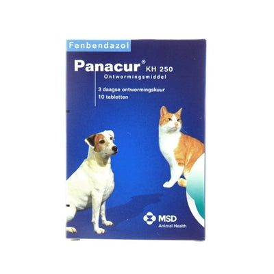 Panacur Hond kat