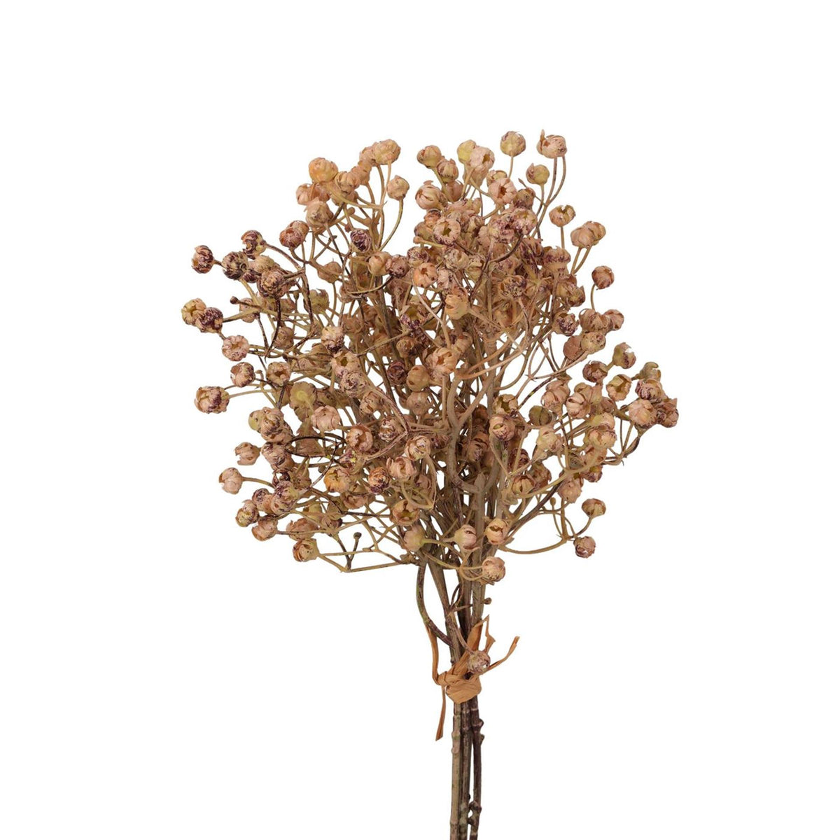 Roberts collection kunstbloem gips bundle 34cm licht coffee