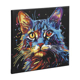 Nassau schilderen op nummer zwart canvas kat, 30x30cm