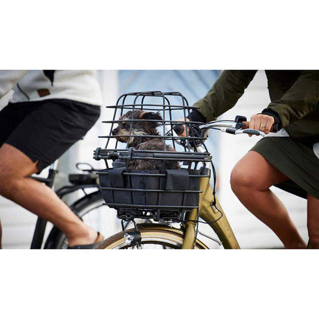 Atranvelo epic multi animal mand zilver