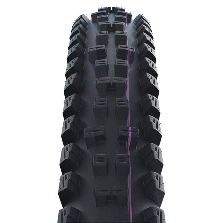 Schwalbe Buitenband 29-2.40 (62-622) Tacky Chan Evo Downhill zwart vouwband