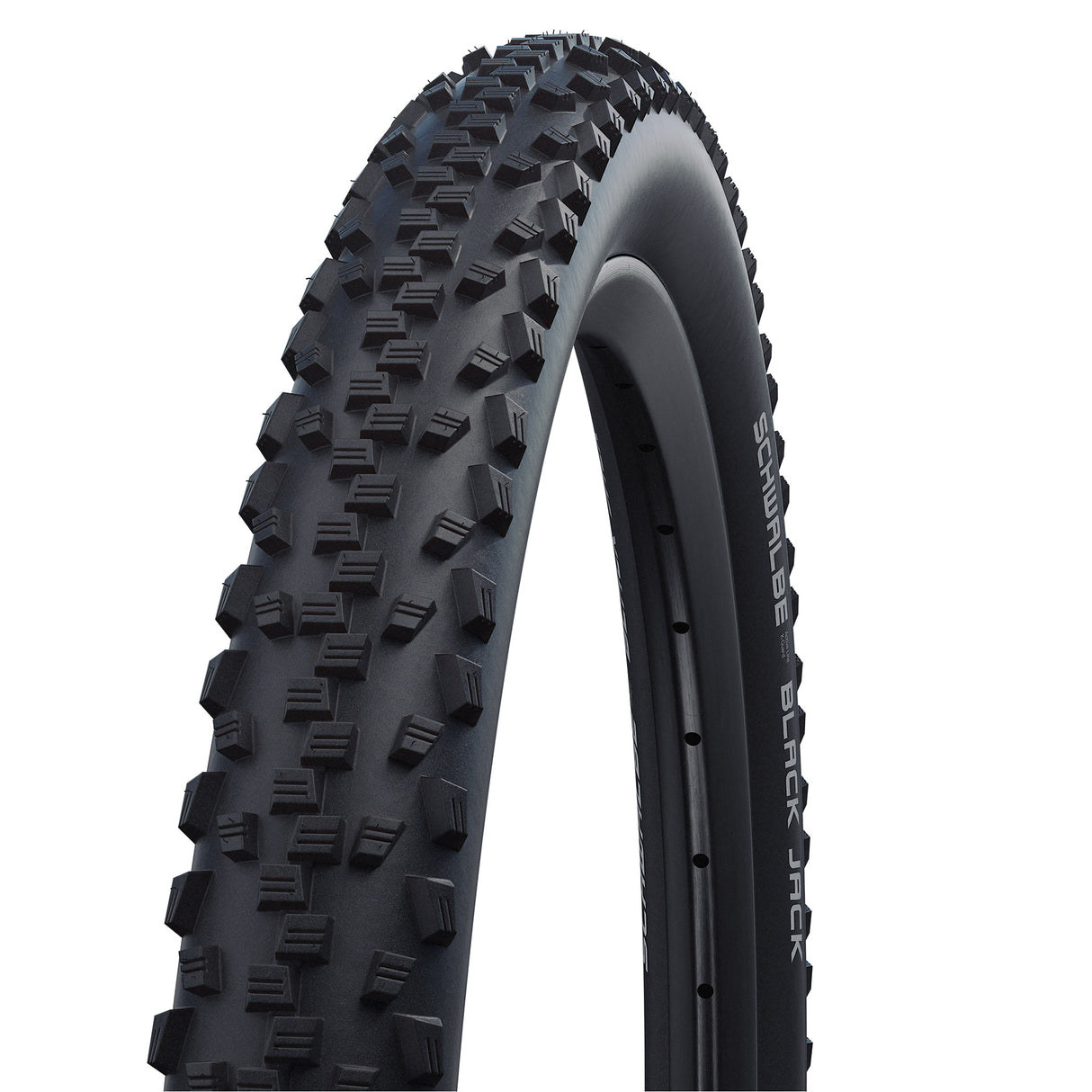 Schwalbe Buitenband Black Jack 24 x 1.90 (47-507) zwart