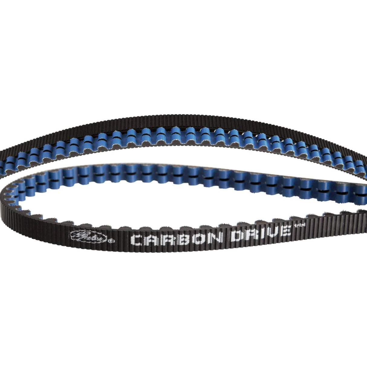 Gates CDX riem Carbon Drive 111 tanden zwart blauw 1221mm, 11mm Pitch, 12mm breed.