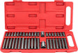 Silver tip torx.40cz.