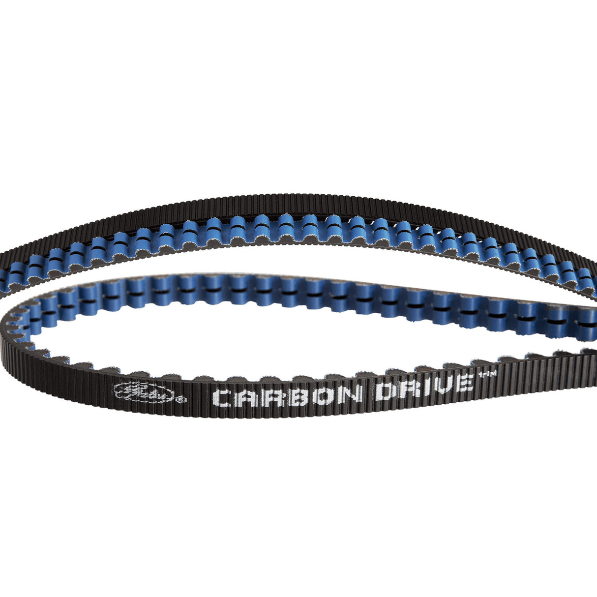 Gates CDX Belt Carbon Drive 113 tanden zwart blauw - 1243mm