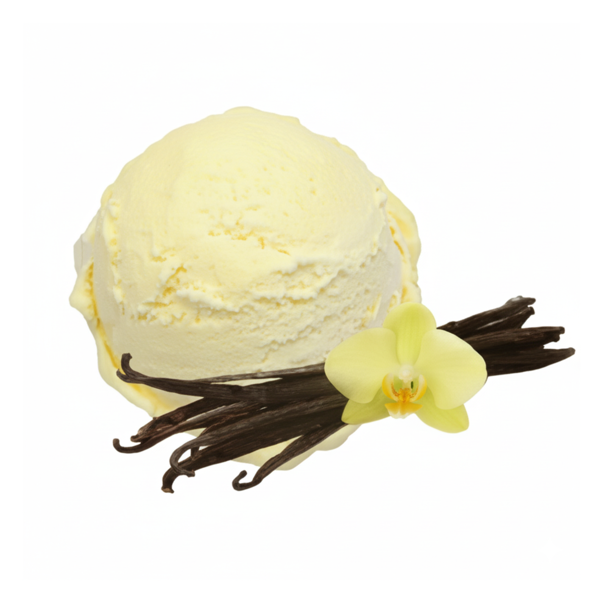 Gelato fantastico vanille bourbon schepijs (4.7 liter)