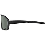Alpina sports sportbril bonfire q-lite zwart