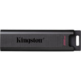 Kingston DataTraveler Max 256 GB