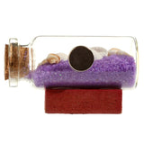 Gekleurd zand schelpen fles strand souvenir magneet