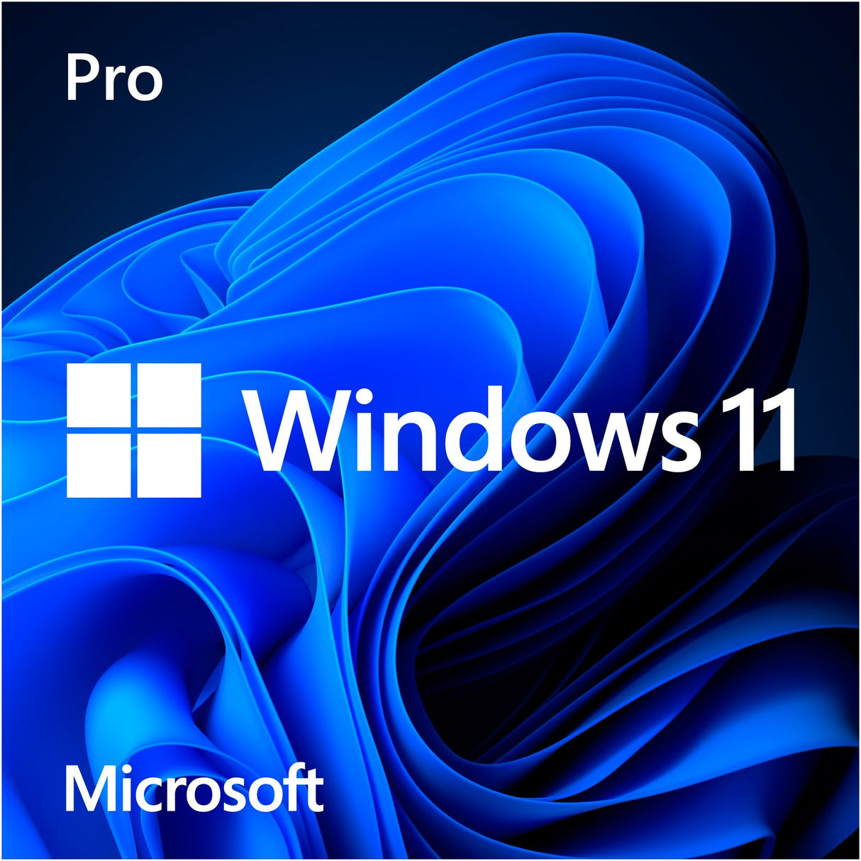 Microsoft Windows 11 (Nederlandstalig) Systembuilder