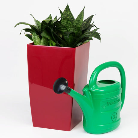 Prosperplast bronwater 3l groene .