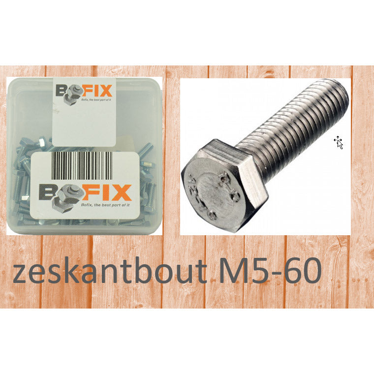 Bofix zeskantbout m5x60 (25st)