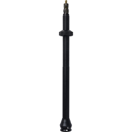 Schwalbe tubeless ventiel 100mm (2st)