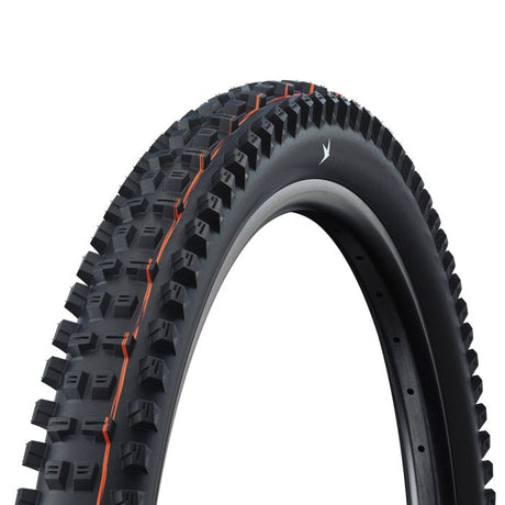 Schwalbe tacky chan - tlr - addix soft - gravity pro - radial - 29x2.50 - black