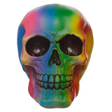 Regenboog schedel woonaccessoire