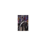 Abus vouwslot Bordo Granit Xplus 6500K 90 zwart