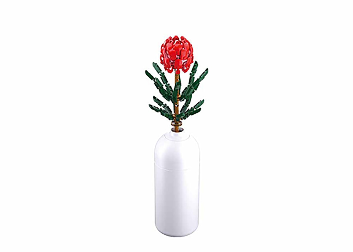 Sluban spinnenbloem (m38-b1101-08)