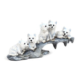 Wolf puppies spelen op rots