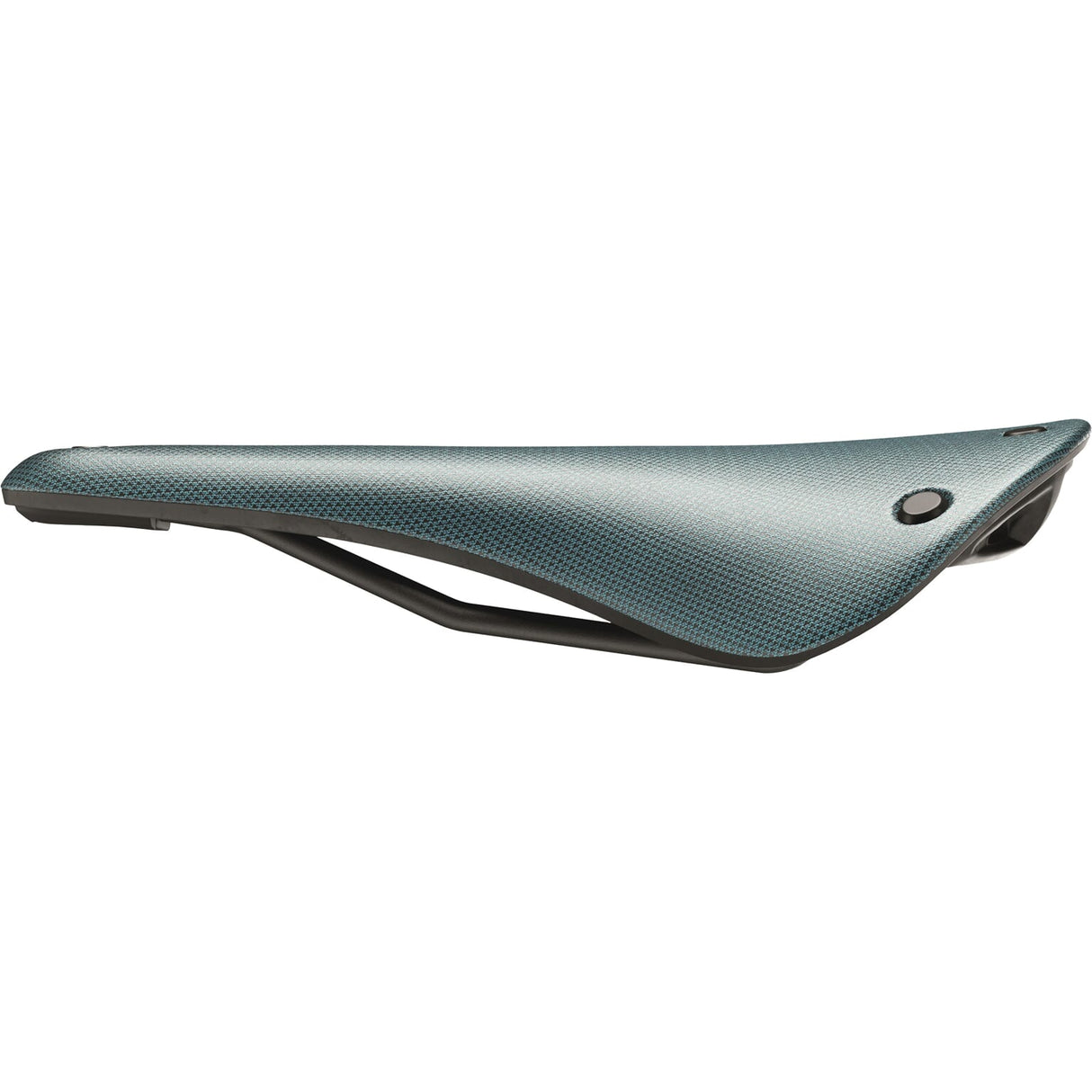 Brooks Zadel C17 Cambium All Weather Octane