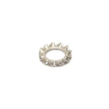 Bofix Tandveerring M6 Rvs (P100)