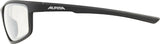 Alpina defey - sports glasses