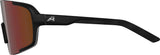 Alpina lumin - sports glasses