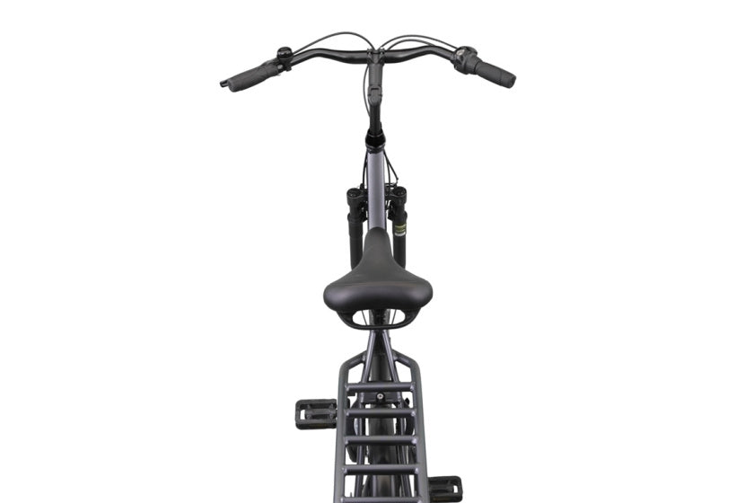 Altec delta 28 inch 56 cm dames 3v rollerbrake matgrijs